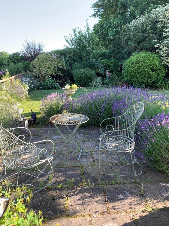 Bed and Breakfast Cary Fitzpaine House à Babcary Extérieur photo